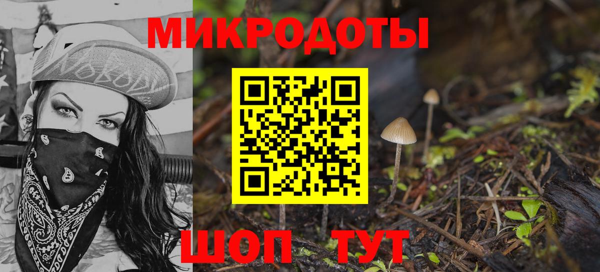 Псилоцибиновые грибы прущие грибы Рославль
