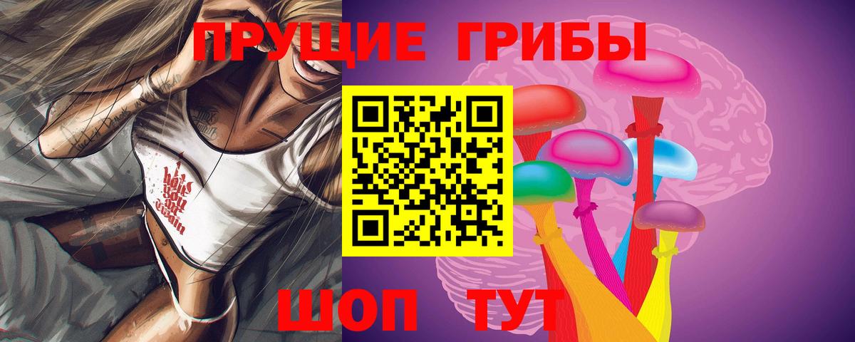 Рославль  Псилоцибиновые грибы Cubensis  Вход с VPN  Галлюциногенные грибы мицелий 